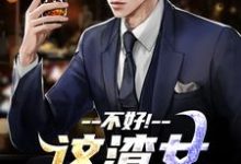 不好!这渣女要虐死了完整版小说,不好!这渣女要虐死了顾迟云云晚晚全章小说阅读-阳光书屋