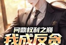 (全文)问鼎权利之巅,我成反贪第一人林东凡沈君兰最新完结小说问鼎权利之巅,我成反贪第一人免费小说全本-阳光书屋