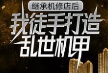 继承机修店后,我徒手打造乱世机甲最新完结小说继承机修店后,我徒手打造乱世机甲苏白苏南天免费小说-阳光书屋