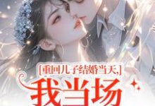 (全文)重回儿子结婚当天，我当场搅黄婚事刘琴刘勇小说推荐，重回儿子结婚当天，我当场搅黄婚事全章小说阅读-阳光书屋