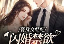 (全文)替身女经纪,闪婚禁欲大佬虐渣男黎湘霍斯然小说推荐,替身女经纪,闪婚禁欲大佬虐渣男全章小说阅读-阳光书屋