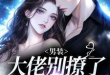 (全文)男装大佬别撩了,你掉马了(阮橙商淮砚)全本书籍阅读男装大佬别撩了,你掉马了免费小说全本-阳光书屋