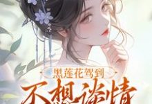 (全文)黑莲花驾到,不想谈情只想晋升宁司寒林妩小说推荐,黑莲花驾到,不想谈情只想晋升全章小说阅读-阳光书屋