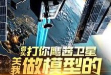 (全文)老头打你鹰酱卫星，关我做模型的什么事（秦阳）全本书籍阅读老头打你鹰酱卫星，关我做模型的什么事免费小说全本-阳光书屋