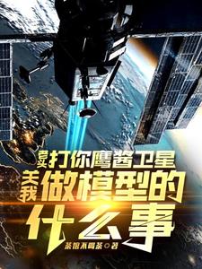 (全文)老头打你鹰酱卫星，关我做模型的什么事（秦阳）全本书籍阅读老头打你鹰酱卫星，关我做模型的什么事免费小说全本