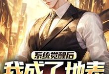 江南系统觉醒后，我成了地表最强龙傲天全本免费在线阅读-阳光书屋