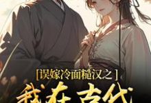 苏琴岑殷闵误嫁冷面糙汉之我在古代当小媳妇全本免费在线阅读-阳光书屋