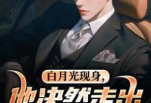 (全文)白月光现身,他决然走出婚姻围城(苏千雪陈醒)全本书籍阅读白月光现身,他决然走出婚姻围城免费小说全本-阳光书屋