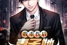 陈泽沈清秋我重伤后，妻子她彻底后悔了全本免费在线阅读-阳光书屋