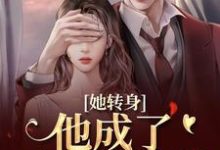她转身，他成了不放的疯批热门小说排行榜她转身，他成了不放的疯批陆芷霍征铭免费小说全本-阳光书屋