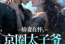 (全文)娇妻在怀，京圈太子爷低头诱宠完结小说推荐苏渝穆寒昭全本书籍阅读-阳光书屋