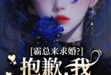 厉霆尊段落落霸总来求婚?抱歉,我现在封心了全本免费在线阅读-阳光书屋