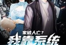 家破人亡？我靠系统儿孙满堂柳若澜许良免费小说家破人亡？我靠系统儿孙满堂推荐完结小说-阳光书屋
