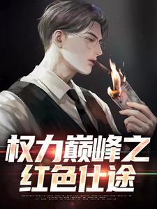 权力巅峰之红色仕途张文定完结小说推荐，权力巅峰之红色仕途全章小说阅读