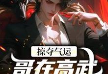 掠夺气运，哥在高武世界赢麻了推荐完结小说，掠夺气运，哥在高武世界赢麻了沈无萧免费小说全本-阳光书屋