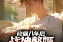 隐居八年后，战神赘婿下山退婚了（叶清）全章小说阅读-阳光书屋