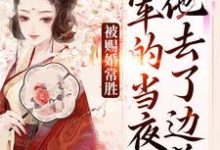 被赐婚常胜将军的当夜，他去了边关完整版小说，被赐婚常胜将军的当夜，他去了边关青妩燕昭全章小说阅读-阳光书屋