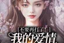 (全文)不要再打了！我的爱情我自己选（裴撤苏暖）试读更新章节不要再打了！我的爱情我自己选免费小说-阳光书屋