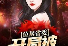 位居省委，开局被妻子举报苏玉黎锦完结小说推荐位居省委，开局被妻子举报全本书籍阅读-阳光书屋