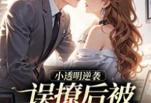 小透明逆袭:误撩后被大佬宠上天许惟昭方肃礼试读更新章节小透明逆袭:误撩后被大佬宠上天许惟昭方肃礼免费小说-阳光书屋