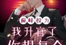 巅峰权力：我升官了你想复合（林磊）小说推荐巅峰权力：我升官了你想复合全章小说阅读-阳光书屋