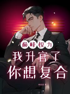 巅峰权力：我升官了你想复合（林磊）小说推荐巅峰权力：我升官了你想复合全章小说阅读