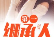 第一继承人（徐飞）全本书籍阅读第一继承人完整版小说-阳光书屋