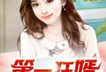 第一狂婿热门小说排行榜第一狂婿林枫免费小说全本-阳光书屋