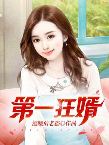 第一狂婿热门小说排行榜第一狂婿林枫免费小说全本