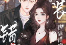 伪装错撩（宋舒音纪鹤野）全章小说阅读-阳光书屋