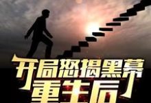 (全文)开局怒揭黑幕，重生后整顿官场陈知行完结小说推荐开局怒揭黑幕，重生后整顿官场试读更新章节-阳光书屋