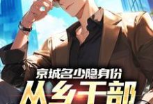(全文)京城名少隐身份，从乡干部开始逆袭谢斌裴靖泽最新完结小说京城名少隐身份，从乡干部开始逆袭免费阅读-阳光书屋
