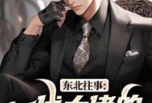 东北往事:一代大佬的成功之路(王晨马三)全本书籍阅读东北往事:一代大佬的成功之路完整版小说-阳光书屋