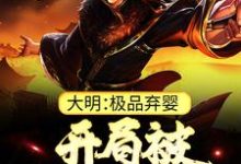 (全文)大明：极品弃婴，开局被老朱捡回家朱炫小说推荐，大明：极品弃婴，开局被老朱捡回家全章小说阅读-阳光书屋