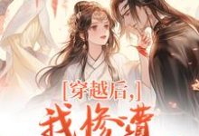 (全文)穿越后，我惨遭主角团抛弃穆长安宋律最新完结小说穿越后，我惨遭主角团抛弃免费小说全本-阳光书屋