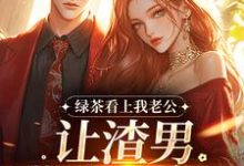 (全文)绿茶看上我老公，让渣男哄我私奔？沈延仲舒玉兰小说推荐，绿茶看上我老公，让渣男哄我私奔？全章小说阅读-阳光书屋