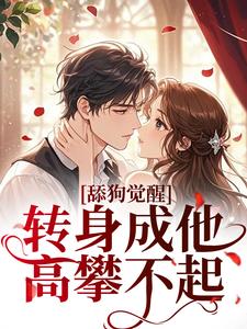 舔狗觉醒，转身成他高攀不起热门小说排行榜舔狗觉醒，转身成他高攀不起舒念沈晏宸免费小说全本