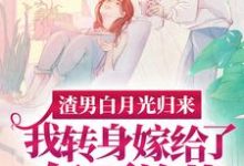 渣男白月光归来，我转身嫁给了亿万总裁（沈清秋）全本书籍阅读渣男白月光归来，我转身嫁给了亿万总裁完整版小说-阳光书屋