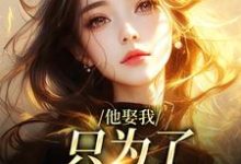 他娶我，只为了替她脱罪？池野简司宁完结小说推荐他娶我，只为了替她脱罪？全本书籍阅读-阳光书屋