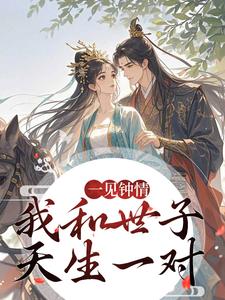 (全文)一见钟情，我和世子天生一对（沈如风苏云锦）免费小说一见钟情，我和世子天生一对试读更新章节