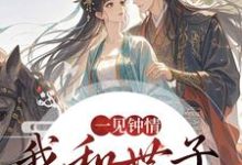 一见钟情,我和世子天生一对(沈如风苏云锦)全章小说阅读-阳光书屋