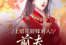 上错花轿嫁对人！前夫追悔莫及推荐完结小说，上错花轿嫁对人！前夫追悔莫及萧念窈陆奉行免费小说全本-阳光书屋