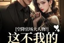 空降官场大人物？这不我的裙下臣吗最新章节阅读空降官场大人物？这不我的裙下臣吗(顾杳周政良)试读更新章节-阳光书屋