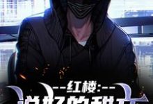(全文)红楼：说好的甜文咋变恐怖文了（齐洛）全本书籍阅读红楼：说好的甜文咋变恐怖文了免费小说全本-阳光书屋
