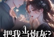 (全文)把我当炮灰？来人！给我虐(谢宏屿林昭)全本免费在线阅读-阳光书屋