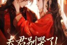 (全文)夫君别哭了！我来替你虐渣（沈婉宁韩云泽）试读更新章节夫君别哭了！我来替你虐渣免费小说-阳光书屋