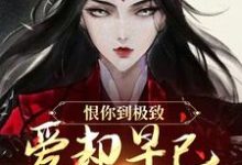 (全文)恨你到极致，爱却早已深入骨髓（苏婉江忱序）全本书籍阅读恨你到极致，爱却早已深入骨髓免费小说全本-阳光书屋
