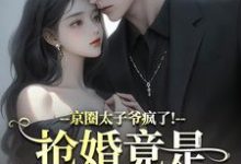 (全文)京圈太子爷疯了！抢婚竟是蓄谋已久（陆妄辞虞晚颜）试读更新章节京圈太子爷疯了！抢婚竟是蓄谋已久免费小说-阳光书屋