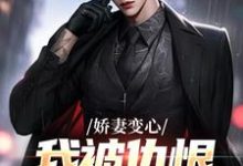 (全文)娇妻变心，我被仇恨占据了全身路无铭墨凉馨小说推荐，娇妻变心，我被仇恨占据了全身全章小说阅读-阳光书屋