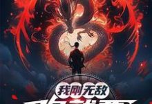 (全文)我刚无敌，你就要跟我退婚？免费小说全本，苏阳试读更新章节-阳光书屋